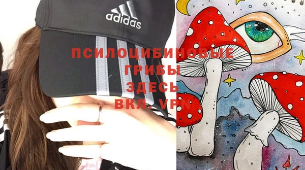 MDMA Premium VHQ Алексин