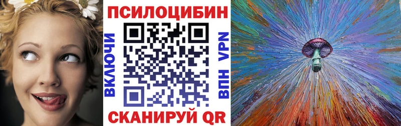 mega зеркало Зубцов Псилоцибиновые грибы Psilocybe
